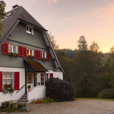 Bed and Breakfast Haus Nagel Hinterzarten Exteriér fotografie