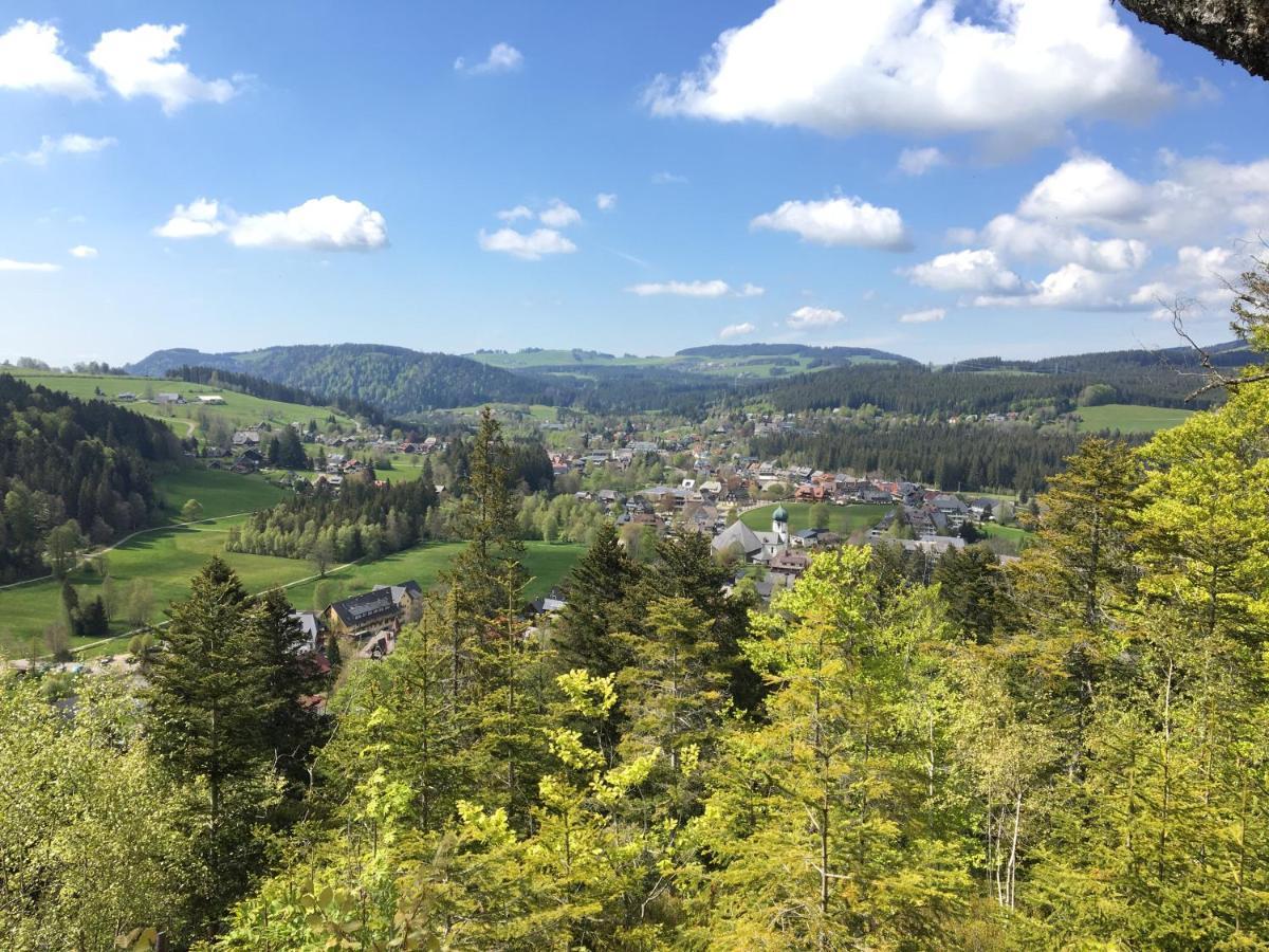 Bed and Breakfast Haus Nagel Hinterzarten Exteriér fotografie
